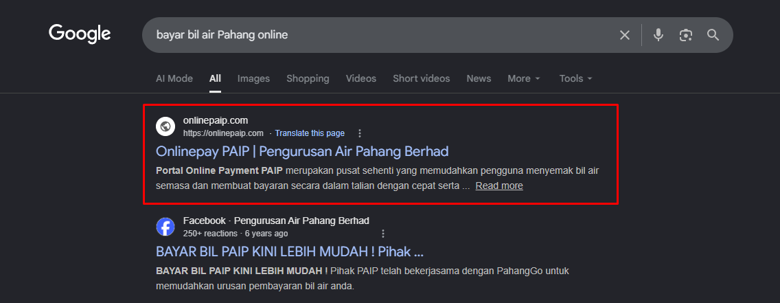 Google search returns the fake onlinepaip.com as the #1 result — ahead of any legitimate PAIP Berhad page.